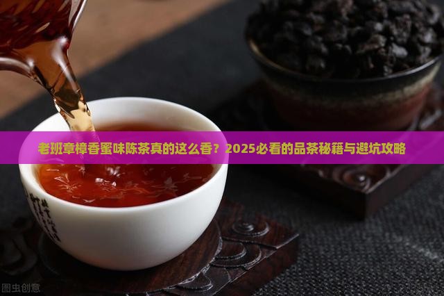 老班章樟香蜜味陈茶