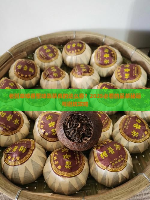 老班章樟香蜜味陈茶