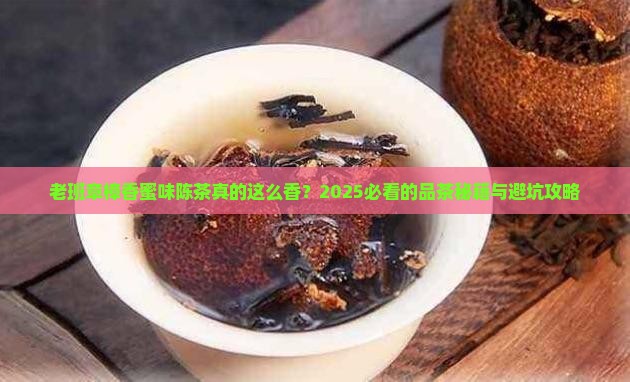 老班章樟香蜜味陈茶