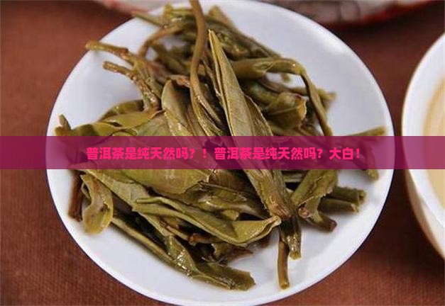 普洱茶是纯天然吗