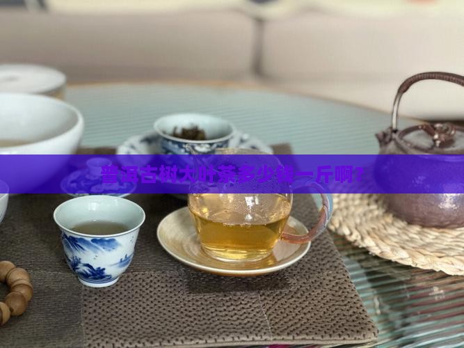 普洱古树大叶茶多少钱一斤