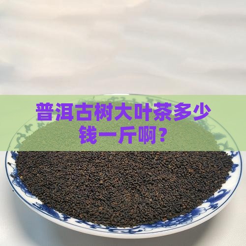 普洱古树大叶茶多少钱一斤