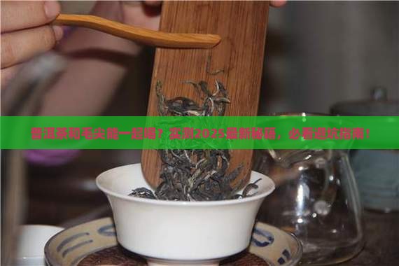 普洱茶和毛尖可以一起喝吗
