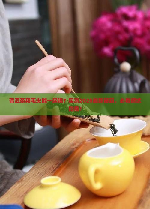 普洱茶和毛尖可以一起喝吗