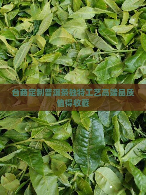 台商定制普洱茶