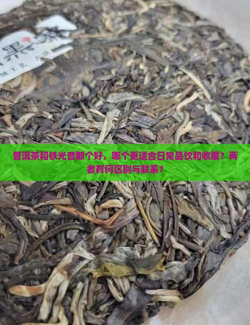 普洱茶和铁光音那个好
