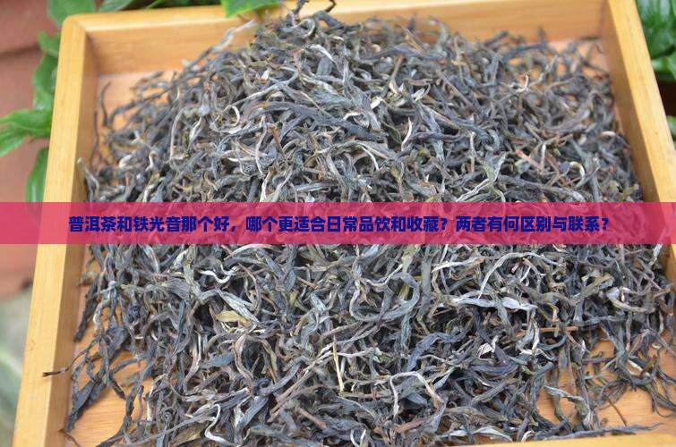 普洱茶和铁光音那个好