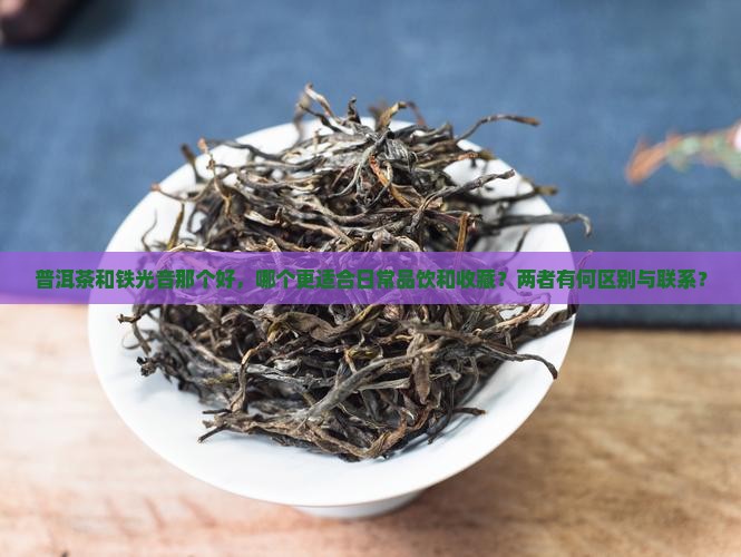 普洱茶和铁光音那个好