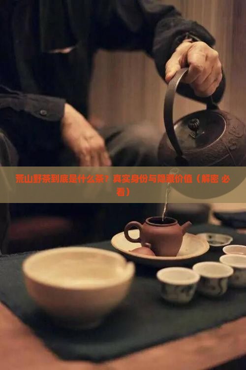 荒山野茶是什么茶