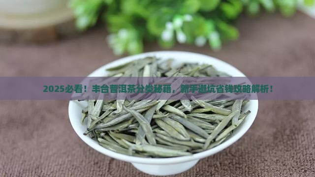 丰台普洱茶分类标准是什么