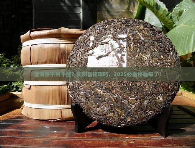 普洱茶不用干醒