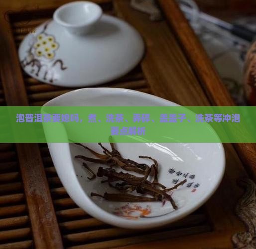 泡普洱茶要媳吗