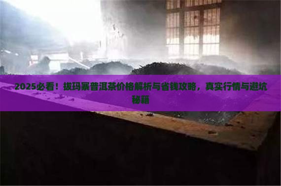 拔玛寨普洱茶价格