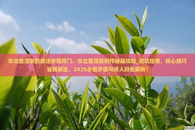 东北普洱茶的做法步骤窍门