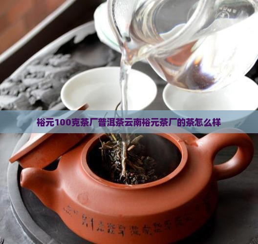 裕元100克茶厂普洱茶