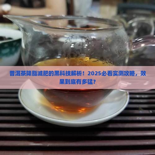 普洱茶为什么能降脂减肥