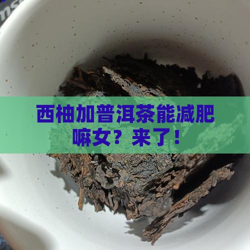 西柚加普洱茶能减肥嘛女