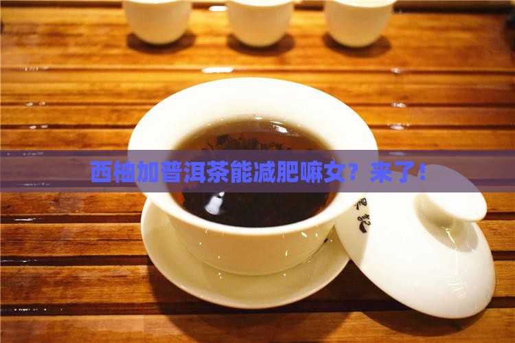西柚加普洱茶能减肥嘛女
