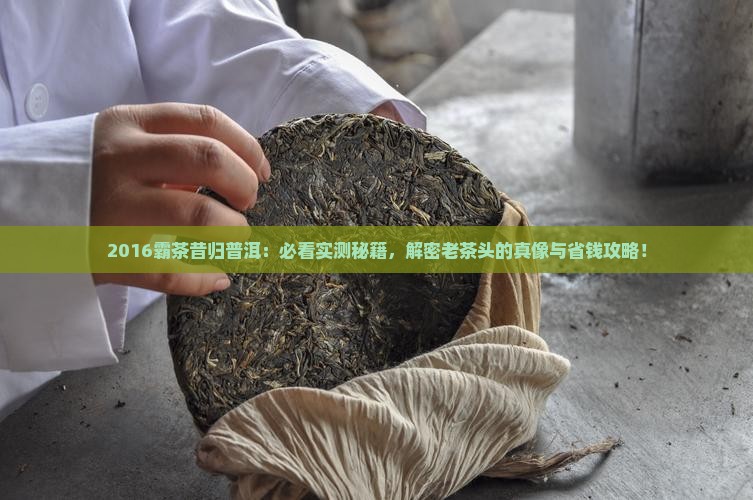 2016霸茶昔归普洱