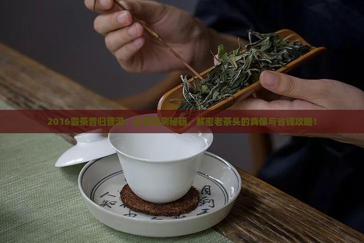 2016霸茶昔归普洱