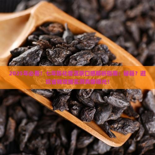 七年陈化普洱茶口感