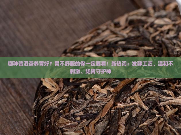 哪种普洱茶养胃好