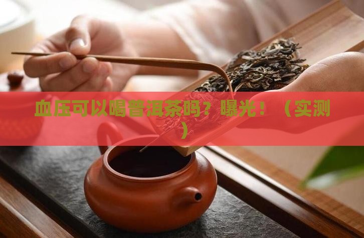 血压可以喝普洱茶不