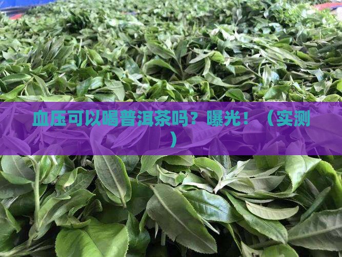 血压可以喝普洱茶不