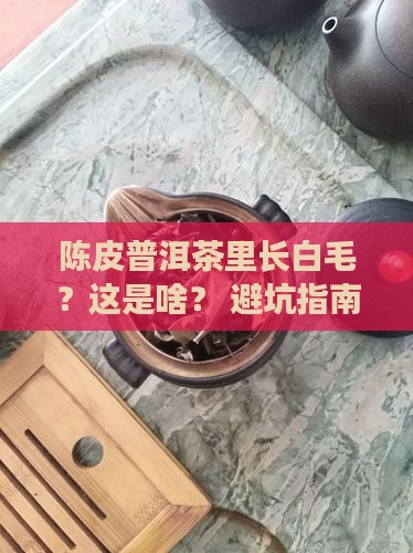 陈皮普洱茶的白色是什么