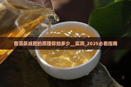 普洱茶减肥的原理你知多少