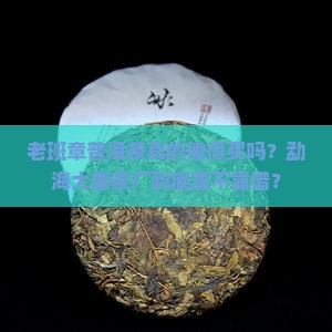 老班章普洱茶勐海大唐茶厂