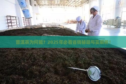 普洱茶为什么不会坏掉的原因
