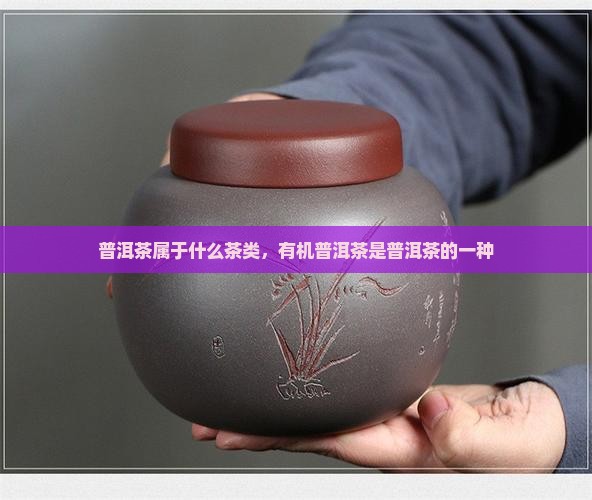 有机普洱茶属于什么茶类