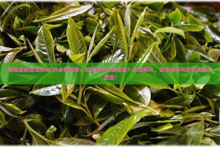 棠城壹品普洱茶