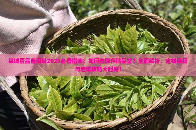 棠城壹品普洱茶