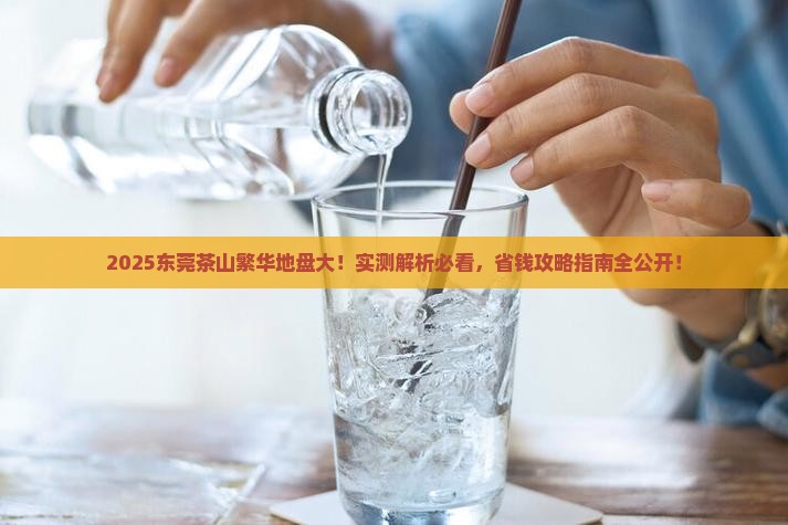 东莞茶山哪里最繁华