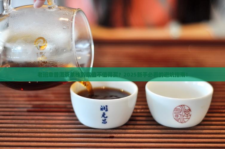 老班章普洱茶单株