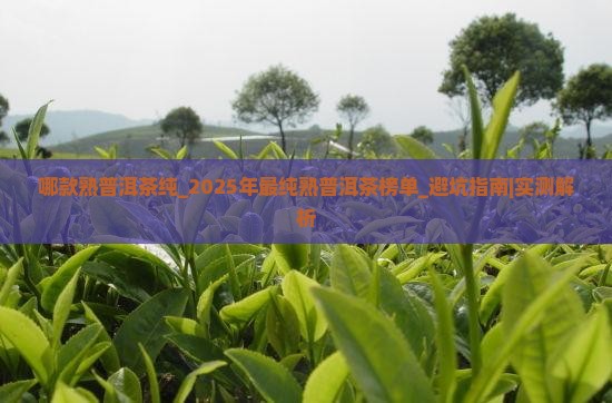 哪款熟普洱茶纯
