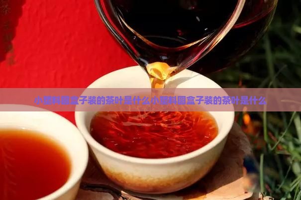 小塑料圆盒子装的茶叶是什么