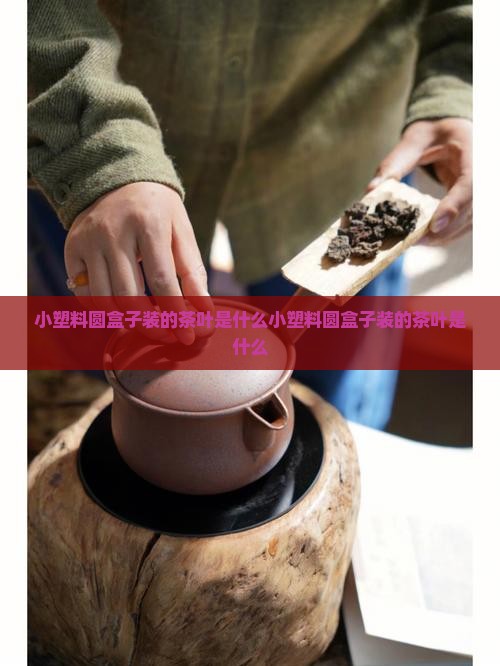 小塑料圆盒子装的茶叶是什么
