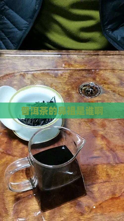 普洱茶的鼻祖是谁啊