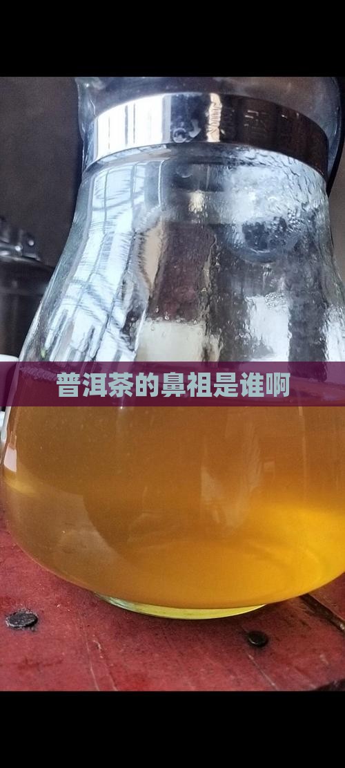 普洱茶的鼻祖是谁啊
