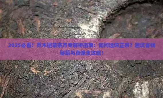 正宗乔木班章茶方专