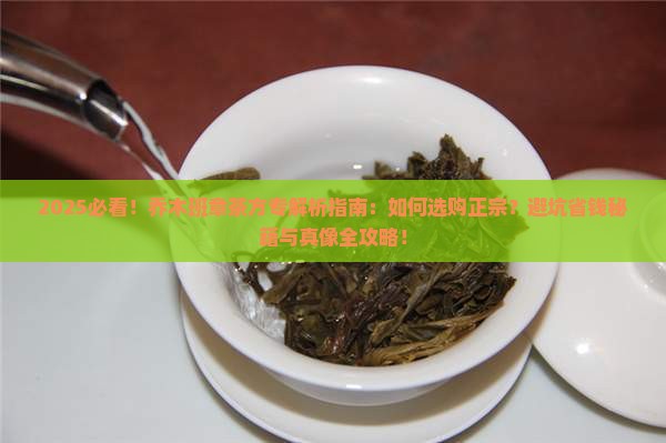 正宗乔木班章茶方专