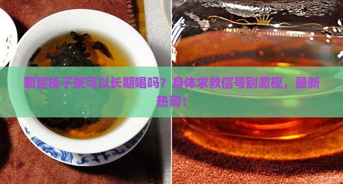 菊苣栀子茶可以长期喝吗