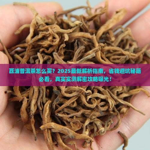 荔浦普洱茶怎么买