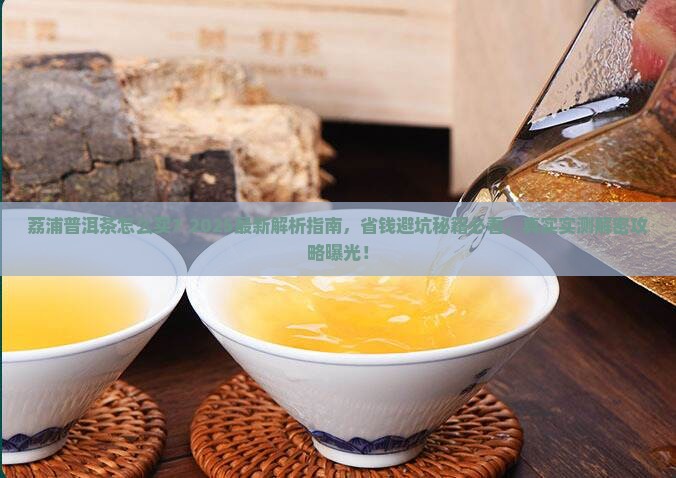 荔浦普洱茶怎么买