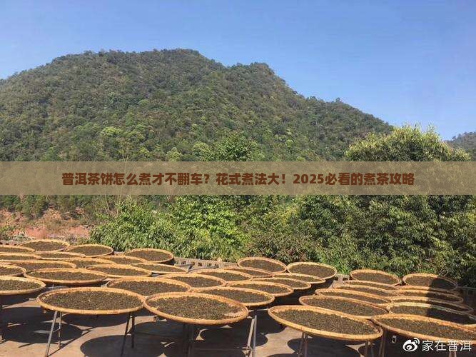 普洱茶饼花式煮茶