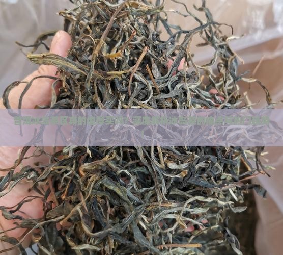 普洱冰岛茶区介绍