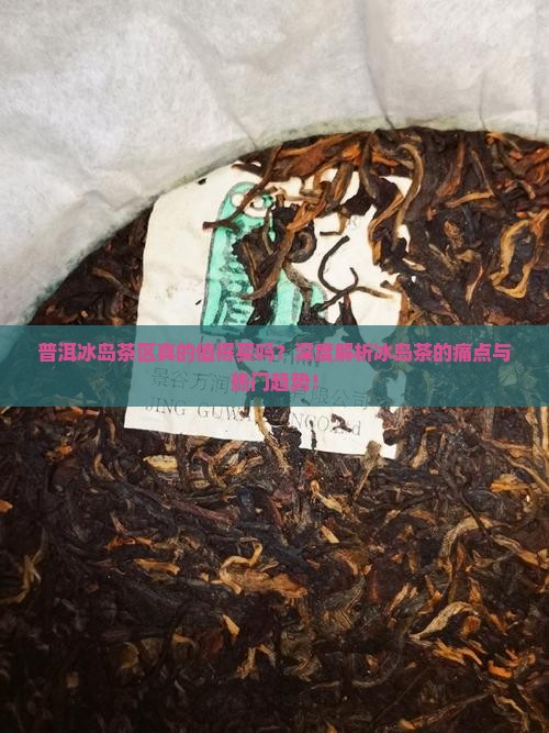 普洱冰岛茶区介绍